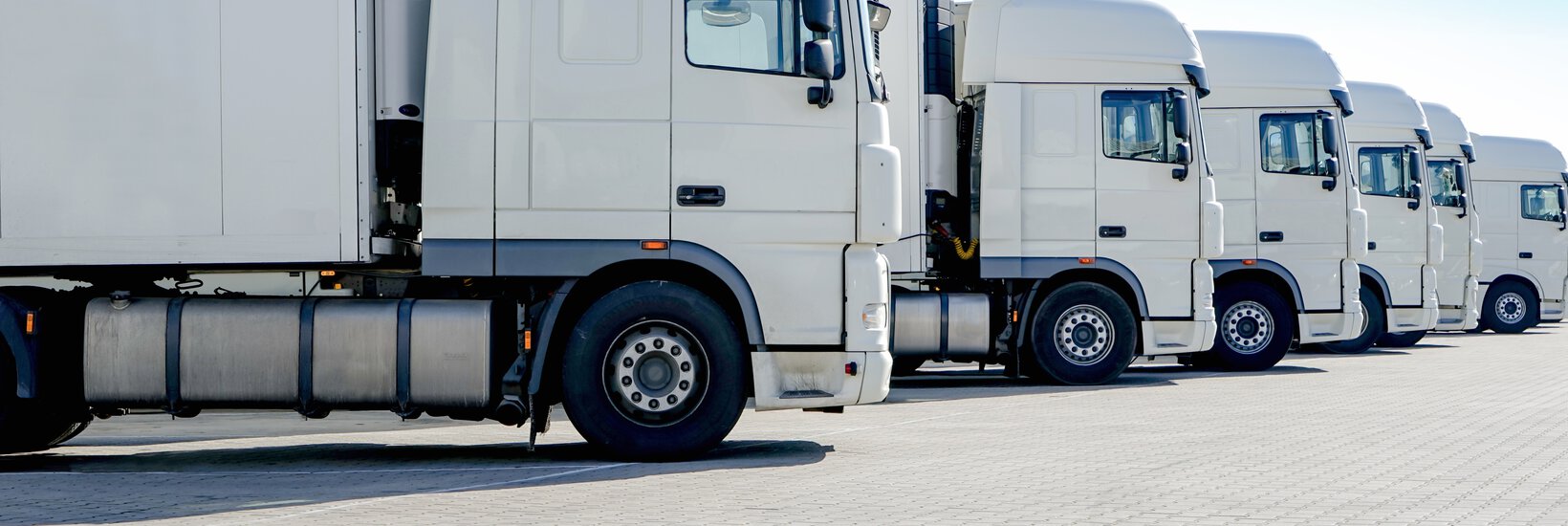Lkw-Spedition LKW-Spedition, mehrere weiße Laster stehen nebeneinander