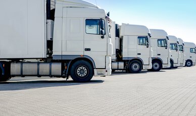 LKW-Spedition, mehrere weiße Laster stehen nebeneinander 