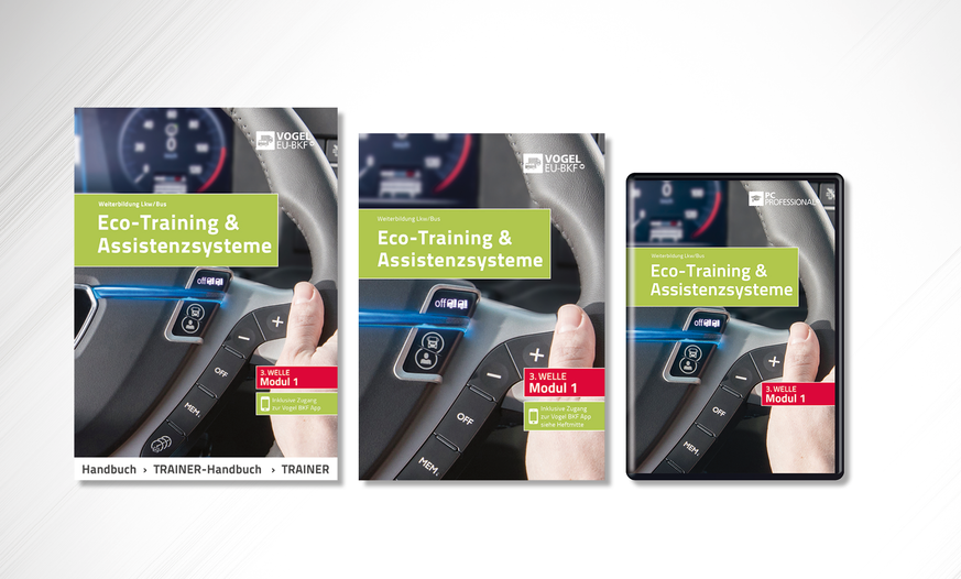 Teilnehmerheft, Trainerhandbuch, PC Professional. Modul 1. 3. Welle